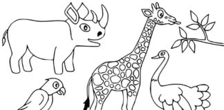 Printable coloring book of interesting safari animals