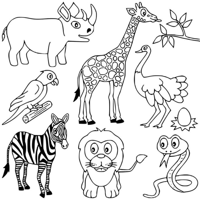 colorindo animais interessantes para safári imprimíveis