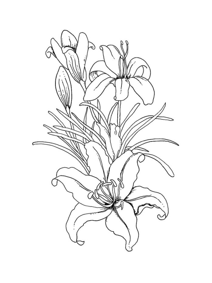 coloring book of ripening flowers