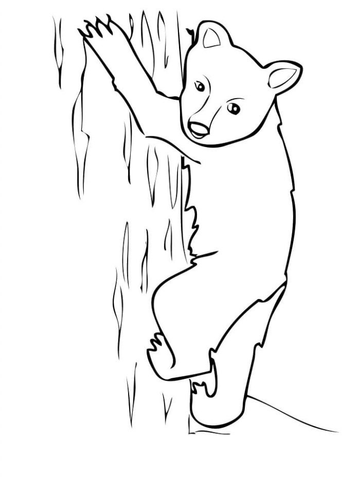 libro da colorare di un orso predatore che si arrampica su un albero