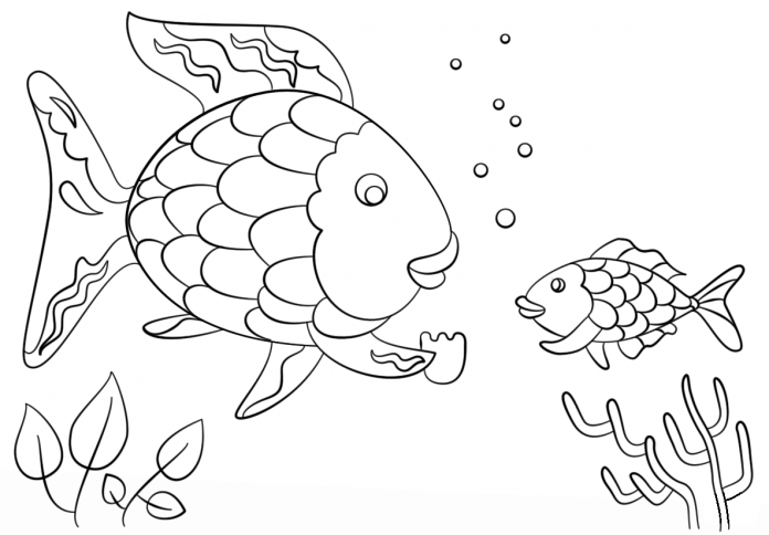 malebog store og små fisk til børn med stort og lille skrift - regnbuefisk