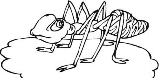 Printable coloring book of a large ant in a puddle