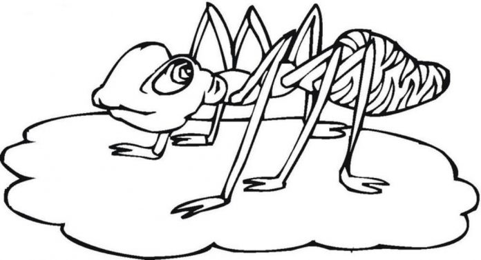 Printable coloring book of a large ant in a puddle