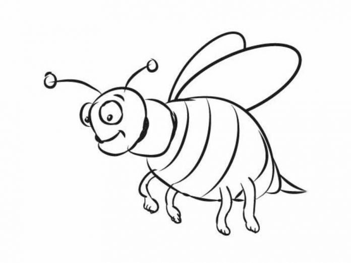 Coloring book of a large bee looking for honey
