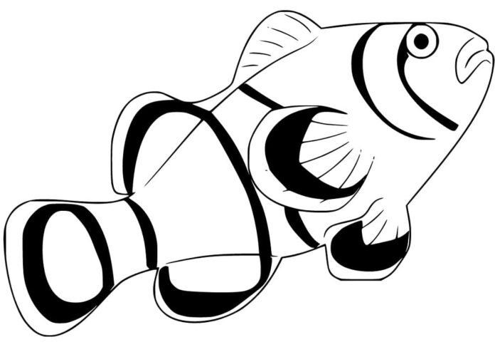 pesce pagliaccio grande da colorare stampabile