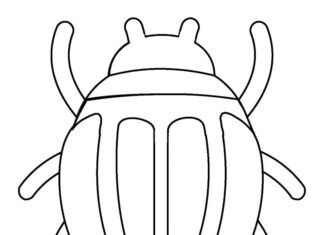 Large beetle coloring book for kids to print