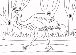 Libro para colorear de un gran avestruz escondido detrás de los árboles