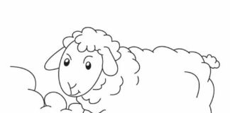 Printable coloring book of two lambs grazing in a clearing