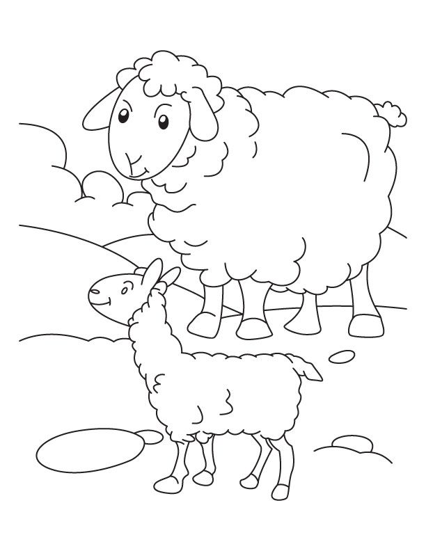 Libro da colorare stampabile di due agnelli che pascolano in una radura