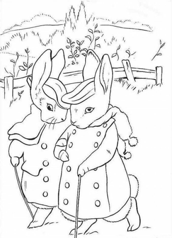 pagina da colorare di due conigli della fiaba Coniglio Pietro