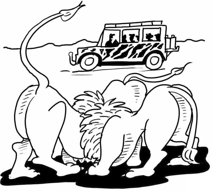 Printable coloring book of two lions on safari