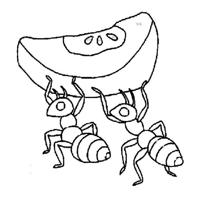 coloring page of two insects carrying a fruit