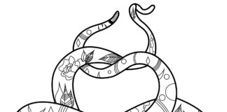 színező könyv összefonódott kígyókról