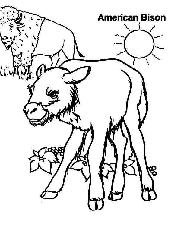 coloring page of two animals in a clearing
