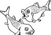 Omaľovánky na vytlačenie s dvoma rybami plávajúcimi okolo seba