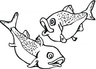 nyomtatható kifestőkönyv két halról, amelyek egymás körül úsznak
