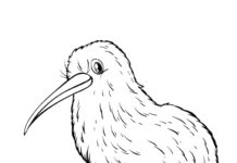 feuille de coloriage d'un étrange oiseau