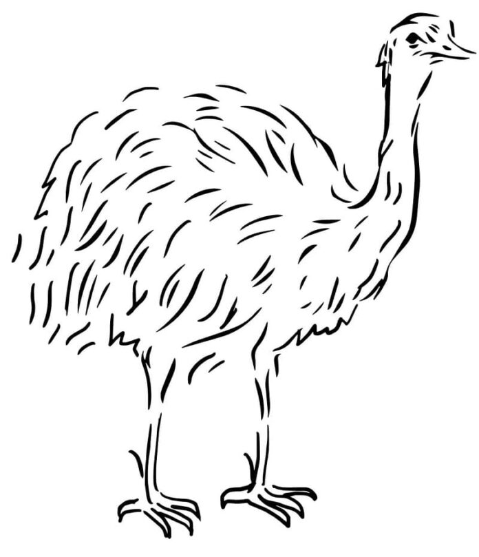 Druckbare Malvorlage eines Emus, der auf seinen langen Beinen läuft