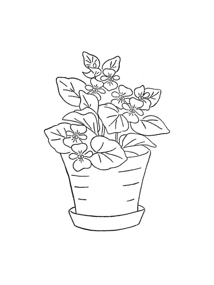 Printable violets in a pot coloring book