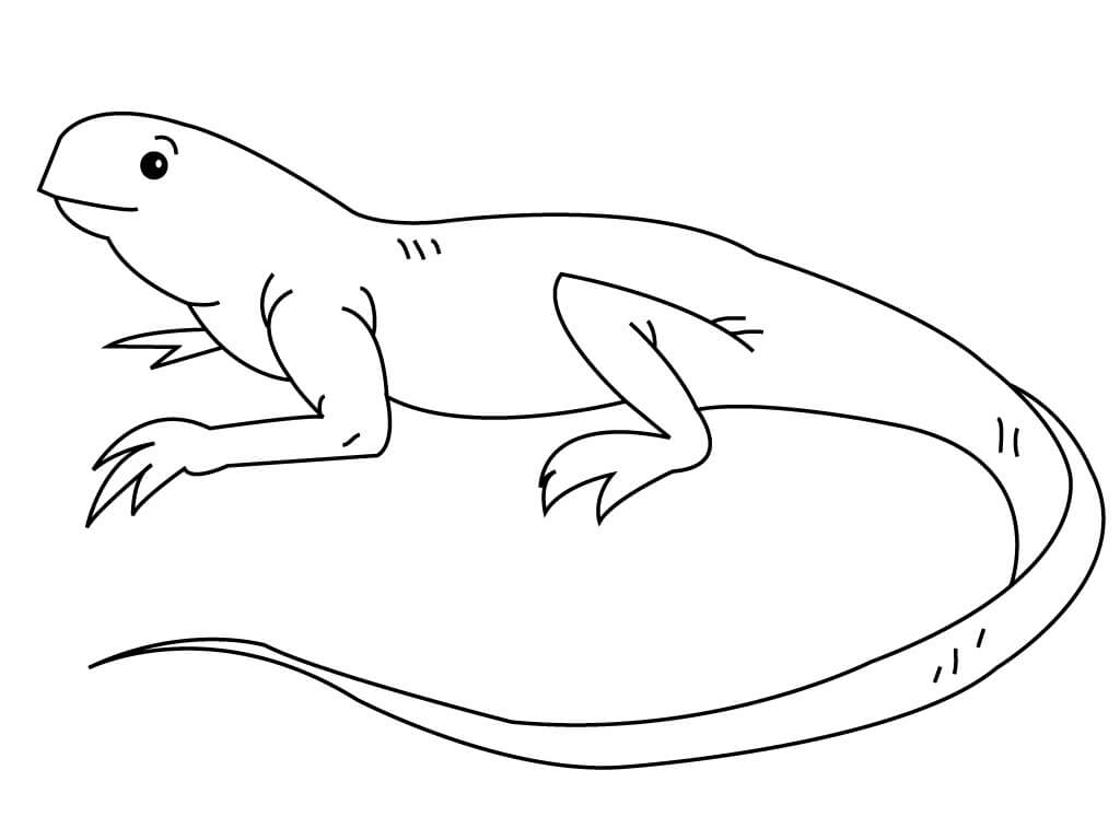 Coloring book Reptile sitting on rocks printable and online