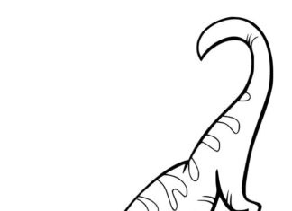 Printable coloring book of a gecko walking on the ground