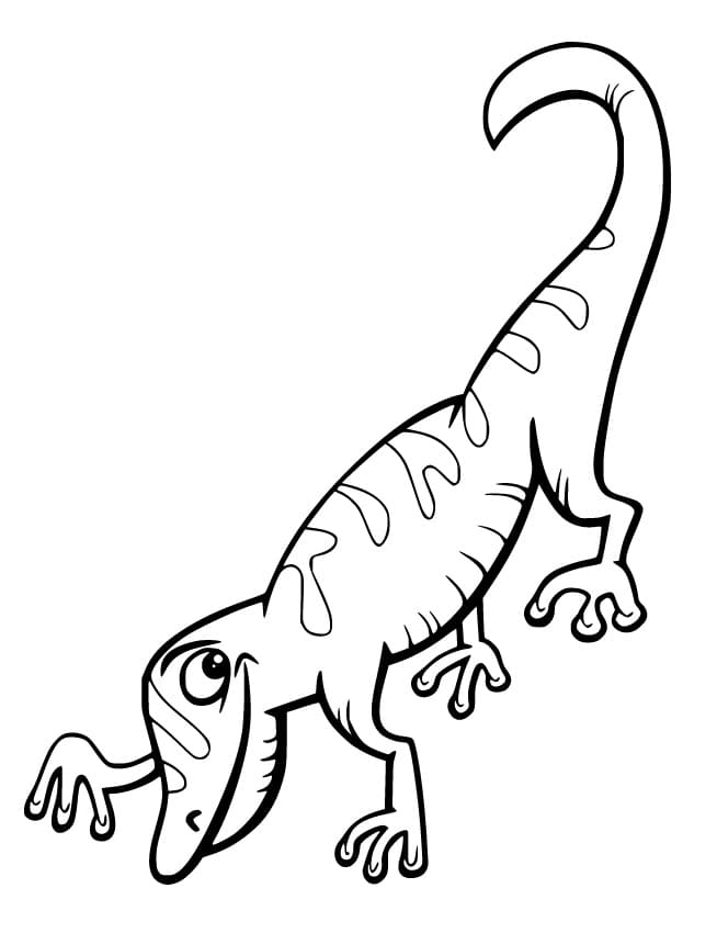 Printable coloring book of a gecko walking on the ground