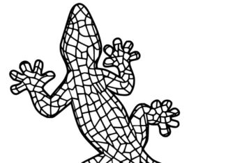 coloriage de gecko dans des motifs intéressants à imprimer