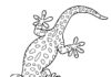 geco da colorare con disegni interessanti