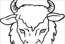 malebog hoved af en forvokset bøffel med horn