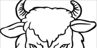 Coloring book head of an overgrown buffalo with horns