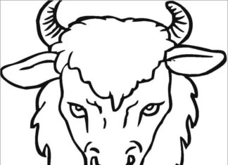 Coloring book head of an overgrown buffalo with horns