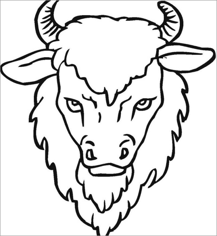 livre de coloriage tête d'un bison envahi de cornes