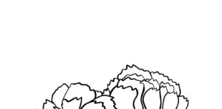 Libro stampabile da colorare del garofano a fiore grande
