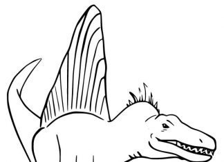 Coloring book menacing spinosaurus getting ready to attack