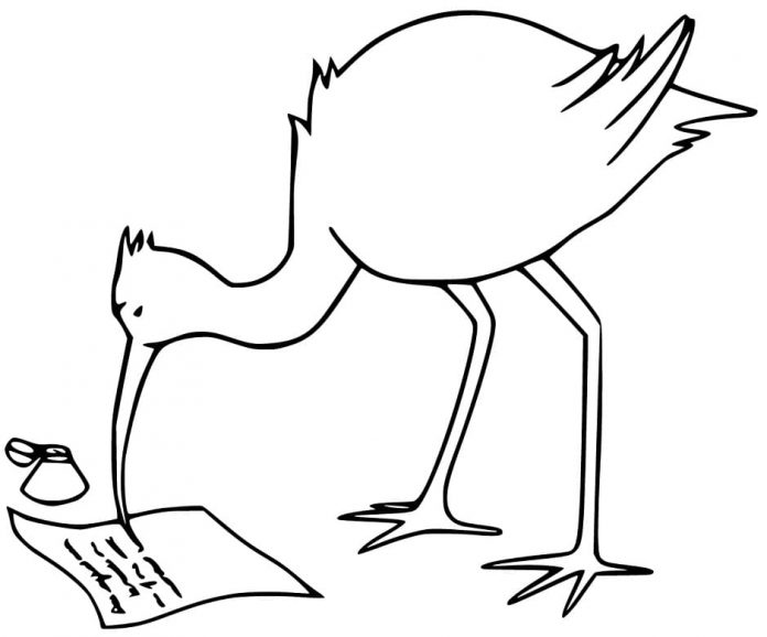 Coloring book ibis reading a piece of paper
