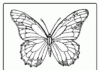 coloriage illusion d'optique papillon à imprimer