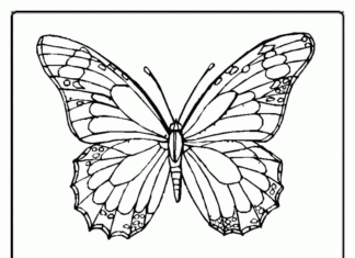 colorear ilusión óptica mariposa imprimible