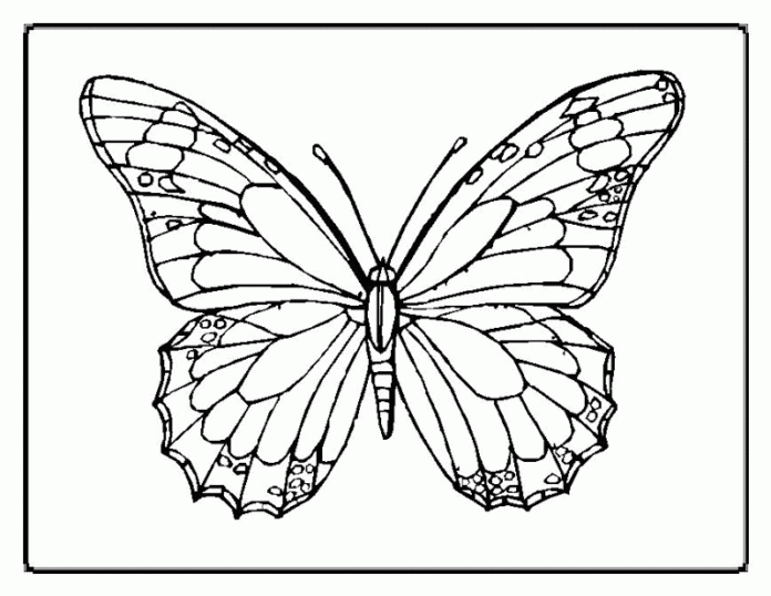 colorindo a ilusão ótica da borboleta imprimível