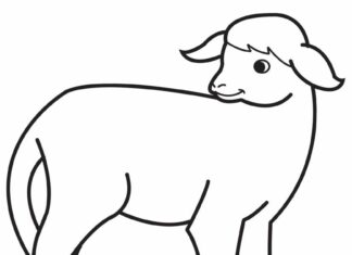 Printable coloring book of a lamb in a meadow