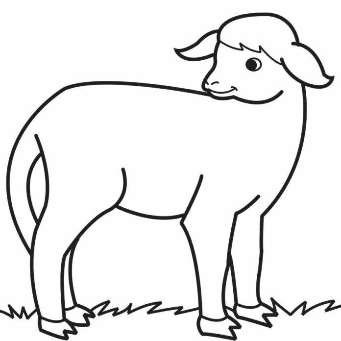 coloriage imprimable agneau dans un pré