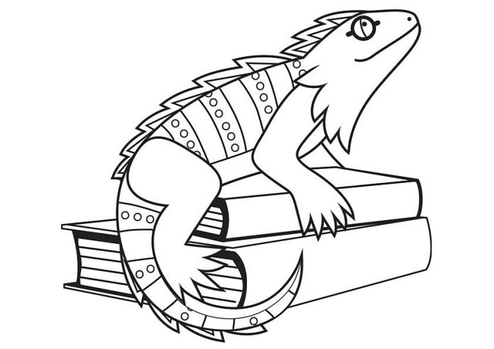 Coloring book lizard sits on books