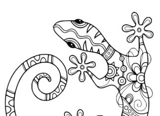 coloring book lizard with colorful patterns