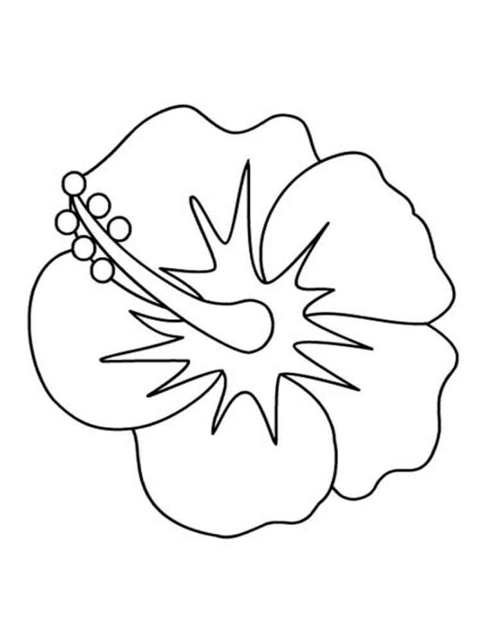 coloring page of one flower without a stem
