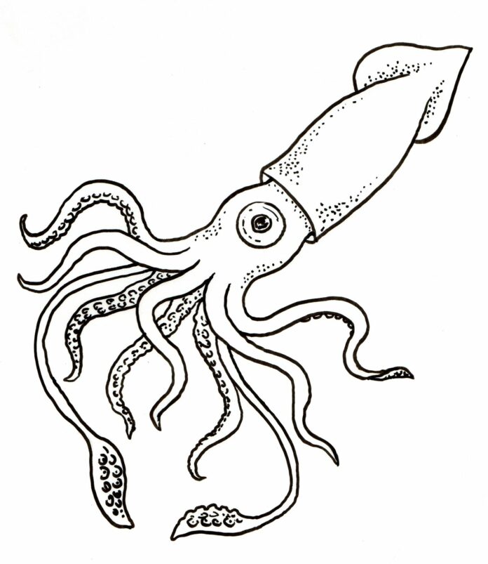 zbarvení chobotnice s velkým okem