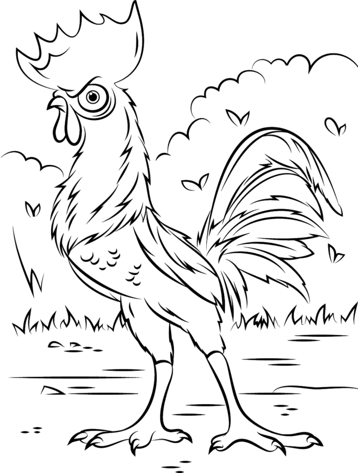 coloring book rooster from the fairy tale Moana