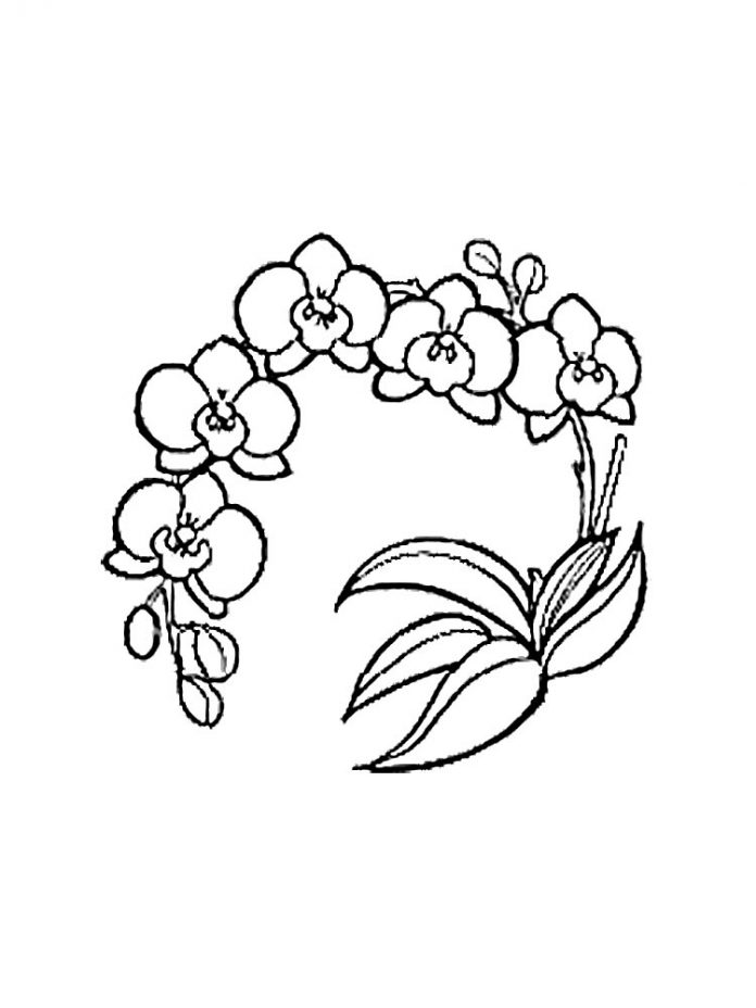 カラフルなプリントの蘭の花輪