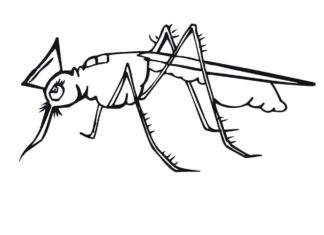malebog af en myg, der klatrer op ad en væg