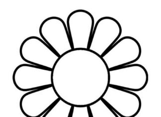 Printable daisy flower outline coloring book for kids