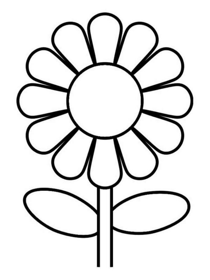 Printable daisy flower outline coloring book for kids