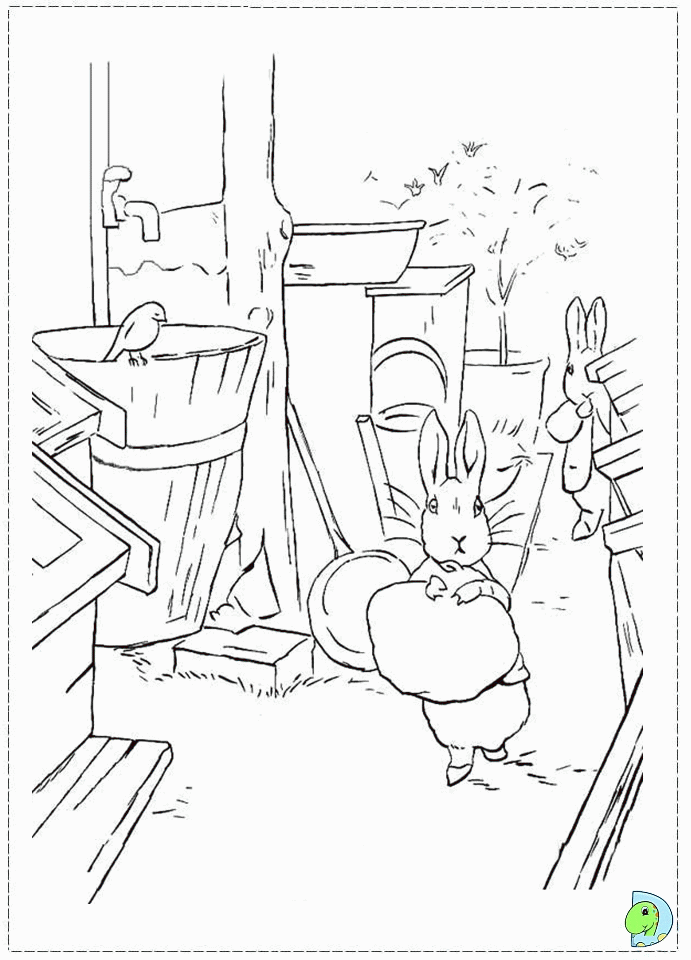 coloring book rabbits in the backyard